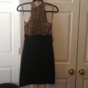 Xoxo Cheetah top Midi Dress